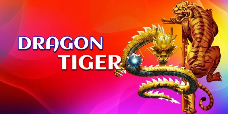 Kinh nghiệm chơi rồng hổ với gấp thếp